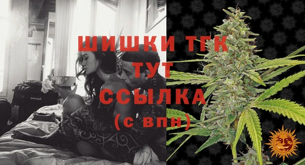 шишки Баксан