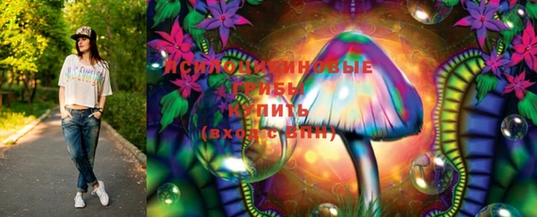 шишки Баксан