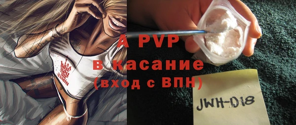 шишки Баксан