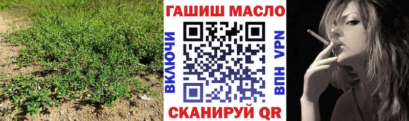 площадка Telegram  Грайворон  Дистиллят ТГК вейп  сколько стоит 
