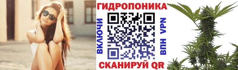 наркота Грайворон mega ссылки Конопля планчик